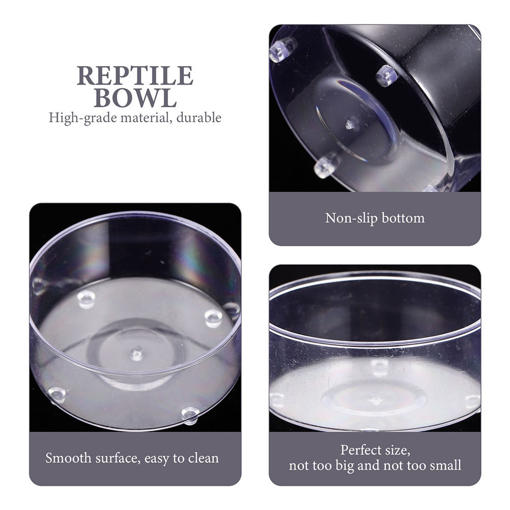 10 Buah Mangkuk Makanan dan Ai - Water Dish Reptile ulasan dan harga