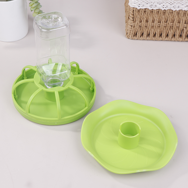 Dispenser Tempat Minum Reptil, - Water Dish Reptile ulasan dan harga