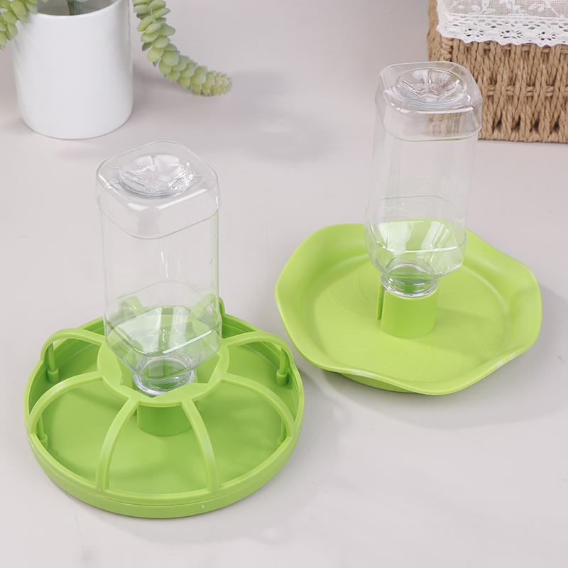 Dispenser Tempat Minum Reptil, - Water Dish Reptile ulasan dan harga